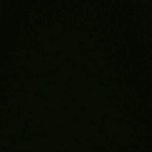 Meet your Posher, Vivienne